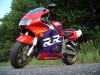 złote fele ,złoty did szaleństwo